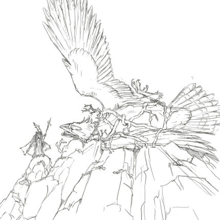 Eagle Captured Sketch