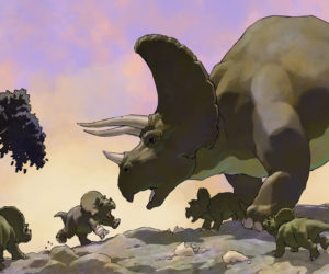 Triceratops Family